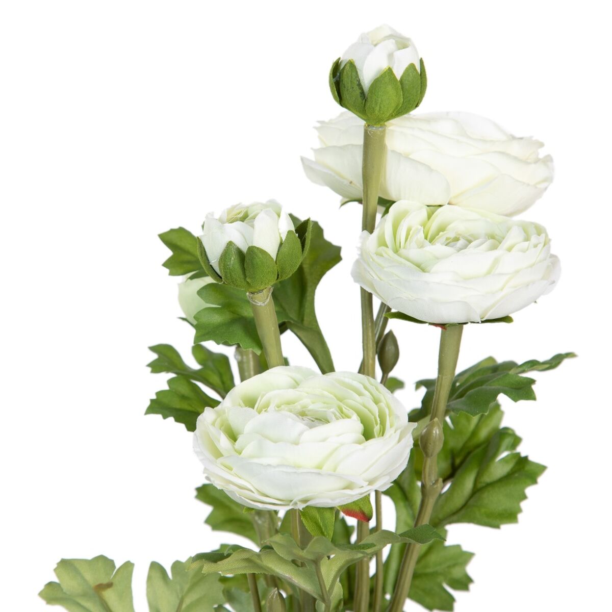 V4HBD0630FE90AC4C9D17D666546A918FEDR4461807P2